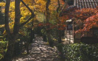 冠位十二階と人事制度